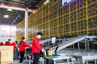 2019年度优秀工程奖项目赏析 重庆飞力达自动化立体仓库的卓越自动化工程实践